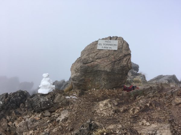 Pico del Torreón